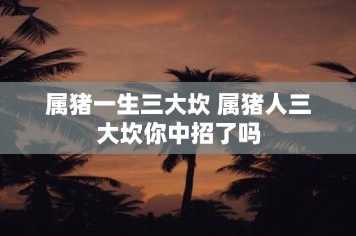 属猪一生三大坎 属猪人三大坎你中招了吗