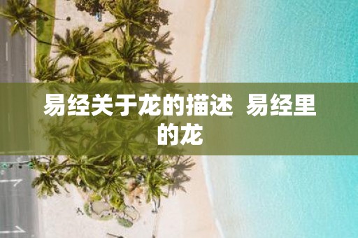 易经关于龙的描述 易经里的龙