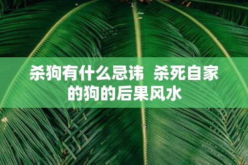 杀狗有什么忌讳 杀死自家的狗的后果风水