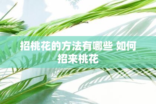 招桃花的方法有哪些 如何招来桃花