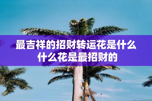 最吉祥的招财转运花是什么 什么花是最招财的