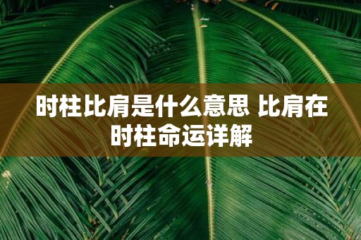 时柱比肩是什么意思 比肩在时柱命运详解