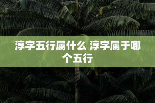 淳字五行属什么 淳字属于哪个五行