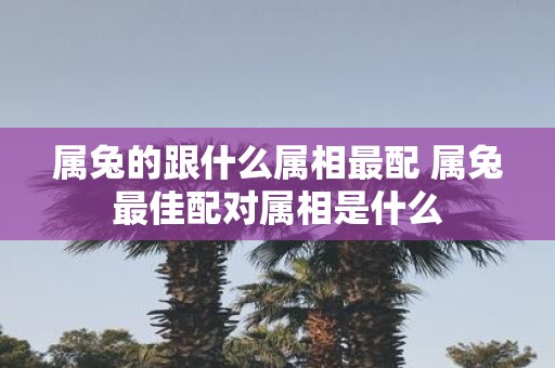 属兔的跟什么属相最配 属兔最佳配对属相是什么