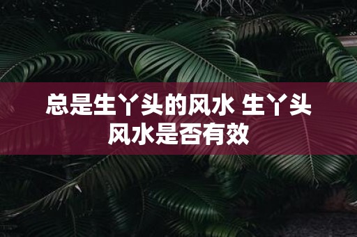 总是生丫头的风水 生丫头风水是否有效