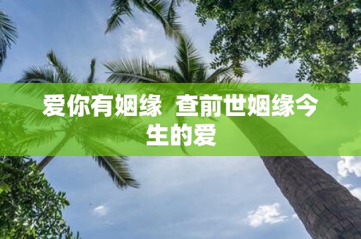 爱你有姻缘 查前世姻缘今生的爱