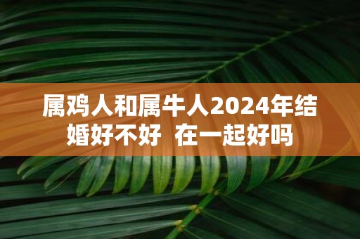 属鸡人和属牛人2025年结婚好不好 在一起好吗