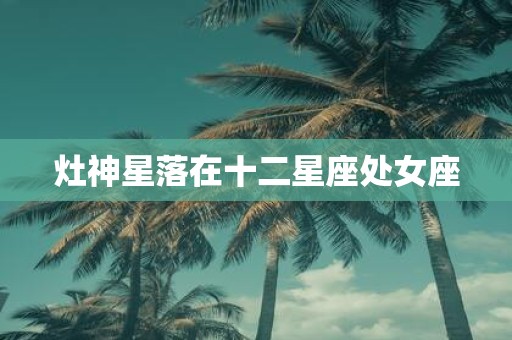 灶神星落在十二星座处女座