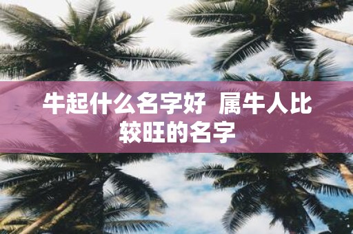 牛起什么名字好 属牛人比较旺的名字