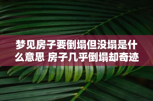 梦见房子要倒塌但没塌是什么意思 房子几乎倒塌却奇迹保住梦境含义何