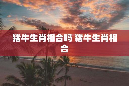 猪牛生肖相合吗 猪牛生肖相合