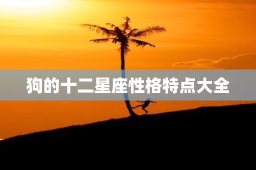狗的十二星座性格特点大全