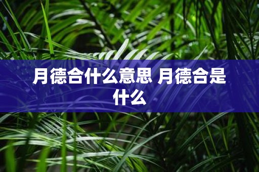 月德合什么意思 月德合是什么