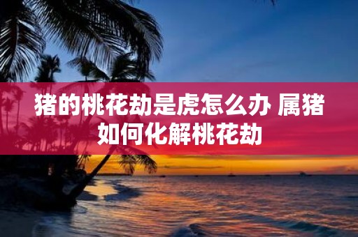 猪的桃花劫是虎怎么办 属猪如何化解桃花劫