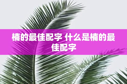 楠的最佳配字 什么是楠的最佳配字