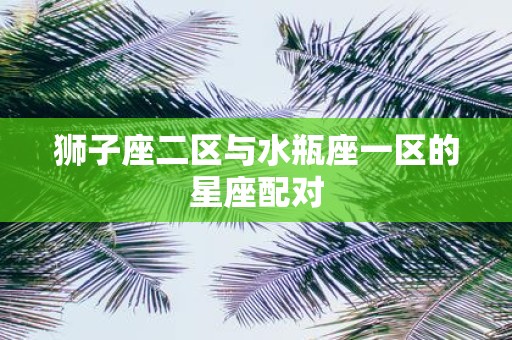 狮子座二区与水瓶座一区的星座配对