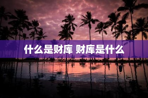 什么是财库 财库是什么