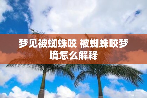 梦见被蜘蛛咬 被蜘蛛咬梦境怎么解释