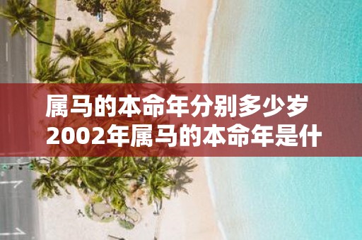 属马的本命年分别多少岁 2002年属马的本命年是什么时候