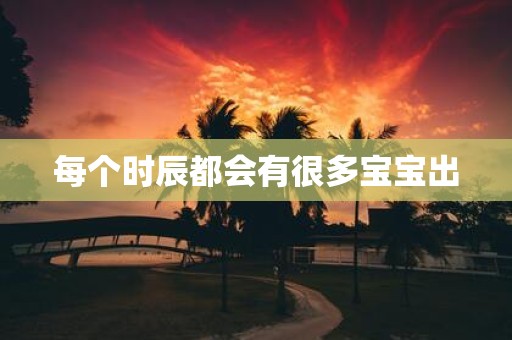 每个时辰都会有很多宝宝出
