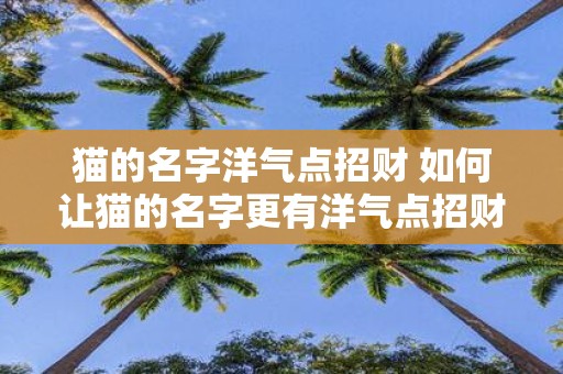 猫的名字洋气点招财 如何让猫的名字更有洋气点招财效果更好