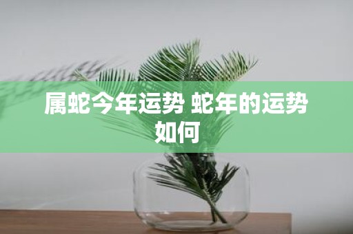 属蛇今年运势 蛇年的运势如何