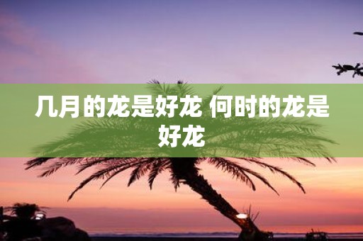 几月的龙是好龙 何时的龙是好龙