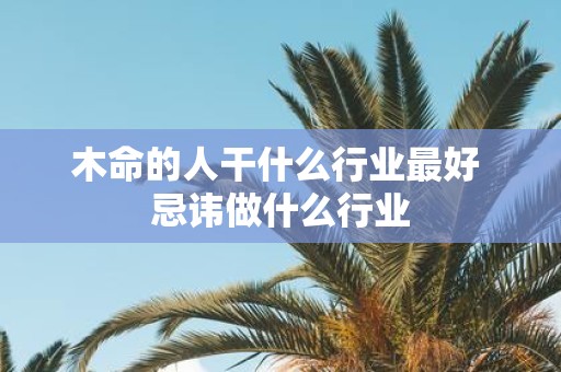 木命的人干什么行业最好 忌讳做什么行业