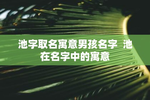 池字取名寓意男孩名字 池在名字中的寓意