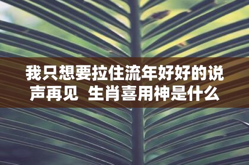 我只想要拉住流年好好的说声再见 生肖喜用神是什么意思