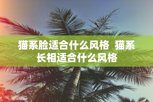 猫系脸适合什么风格 猫系长相适合什么风格