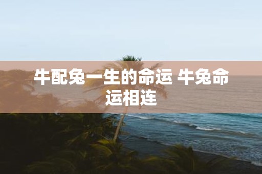 牛配兔一生的命运 牛兔命运相连