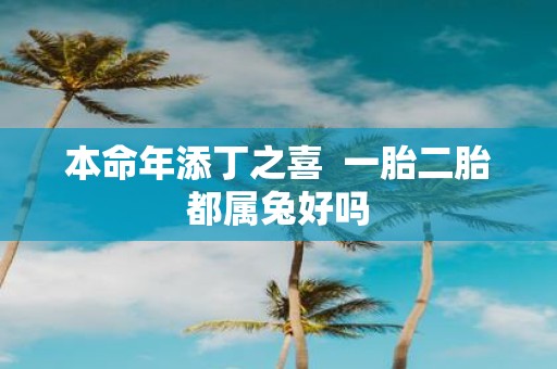 本命年添丁之喜 一胎二胎都属兔好吗