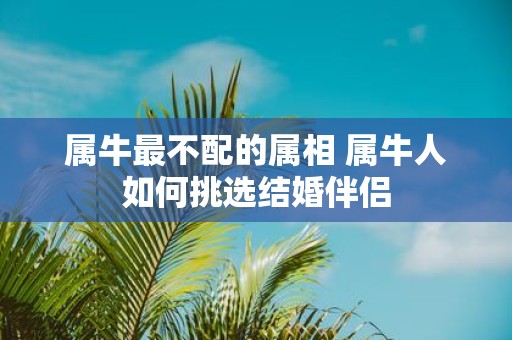 属牛最不配的属相 属牛人如何挑选结婚伴侣