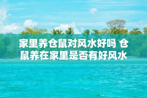 家里养仓鼠对风水好吗 仓鼠养在家里是否有好风水