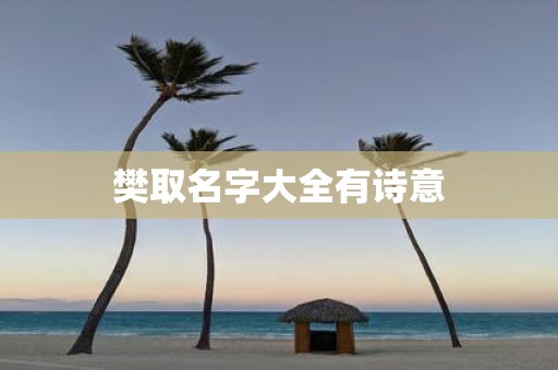 樊取名字大全有诗意