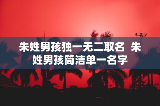 朱姓男孩独一无二取名 朱姓男孩简洁单一名字