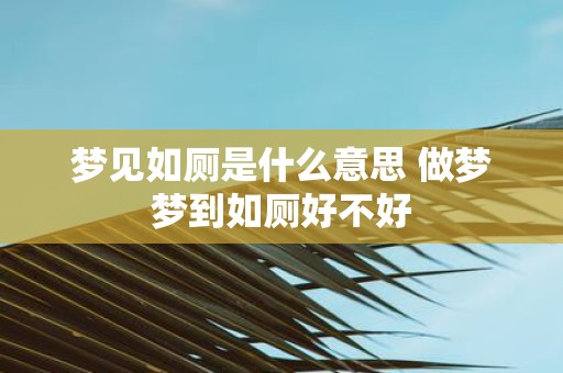 梦见如厕是什么意思 做梦梦到如厕好不好