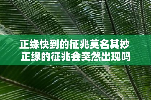 正缘快到的征兆莫名其妙 正缘的征兆会突然出现吗
