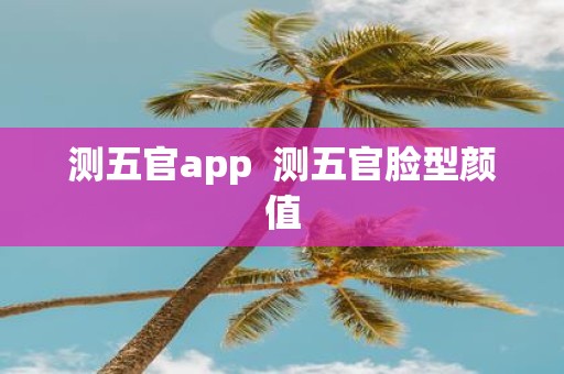测五官app 测五官脸型颜值