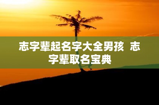 志字辈起名字大全男孩 志字辈取名宝典