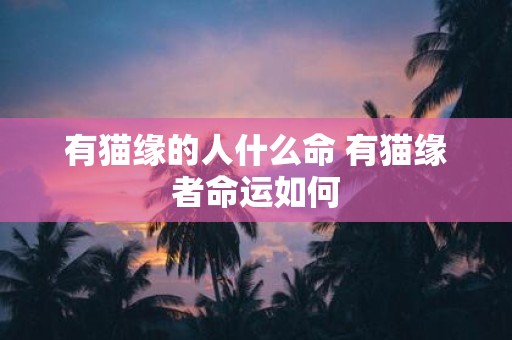 有猫缘的人什么命 有猫缘者命运如何