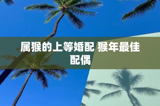 属猴的上等婚配 猴年最佳配偶