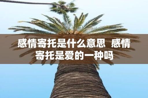 感情寄托是什么意思 感情寄托是爱的一种吗