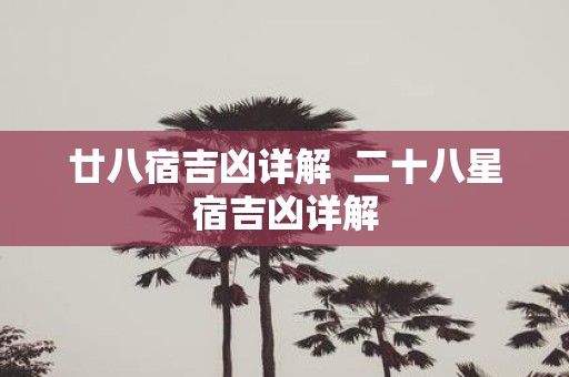 廿八宿吉凶详解 二十八星宿吉凶详解