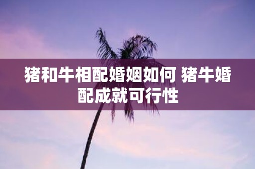 猪和牛相配婚姻如何 猪牛婚配成就可行性