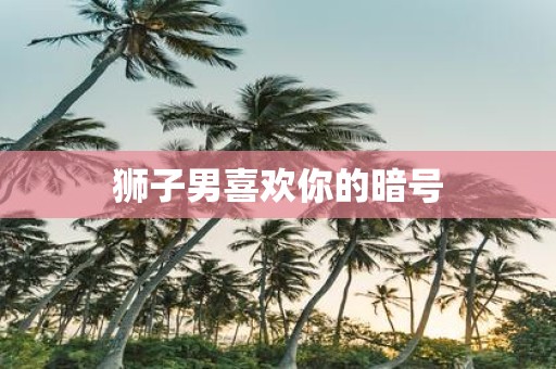 狮子男喜欢你的暗号