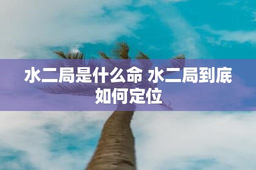 水二局是什么命 水二局到底如何定位