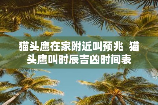 猫头鹰在家附近叫预兆 猫头鹰叫时辰吉凶时间表