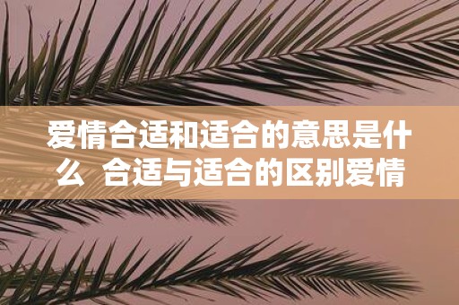 爱情合适和适合的意思是什么 合适与适合的区别爱情